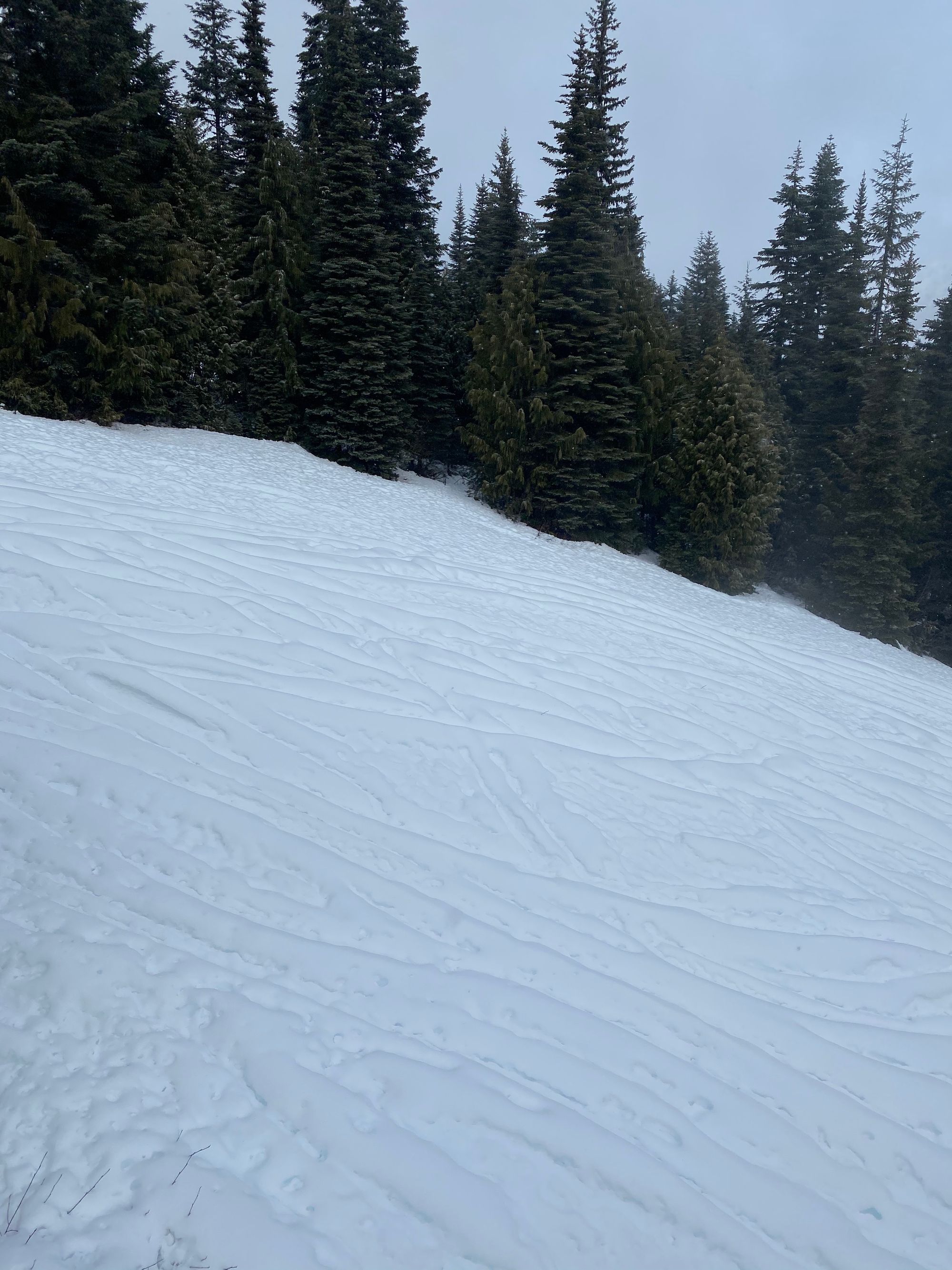 Trip Report: Crystal Mountain