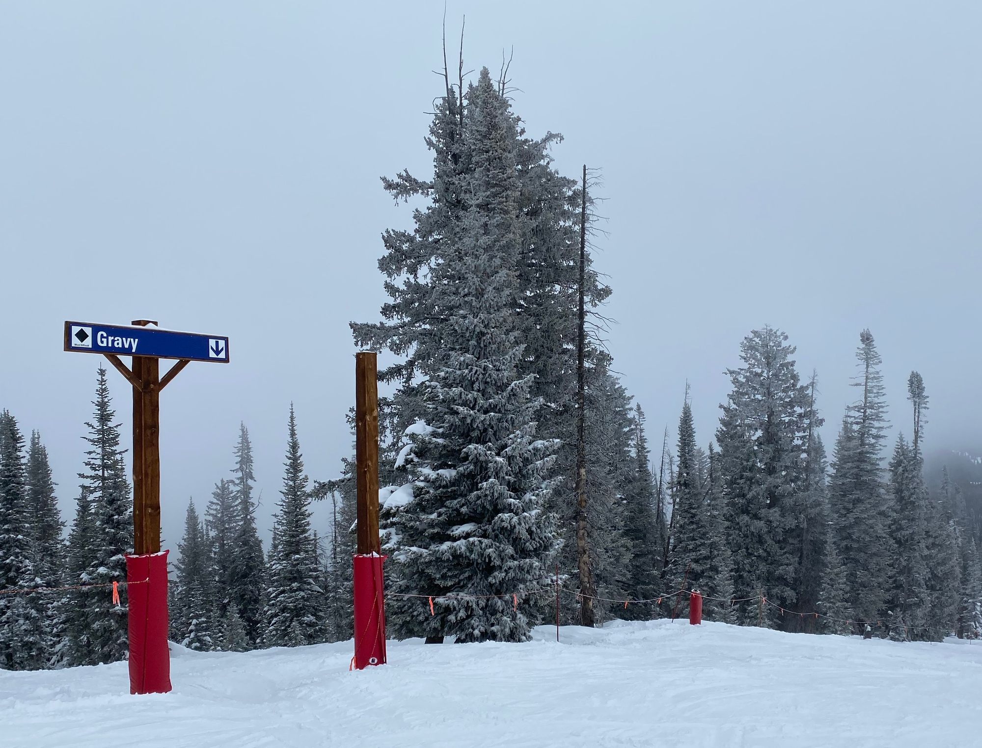 Trip Report: Steamboat Resort